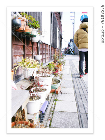 フィルム写真 ノスタルジー 植木 フィルム写真 ノスタルジー 植木 76198556