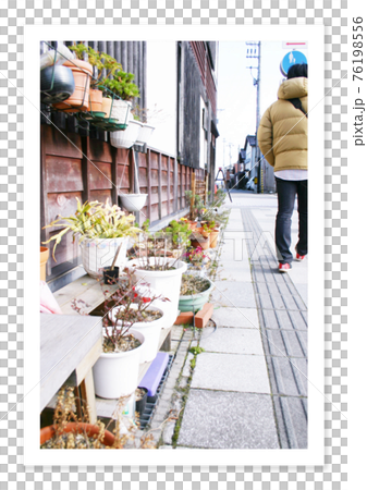 フィルム写真 ノスタルジー 植木 フィルム写真 ノスタルジー 植木 76198556