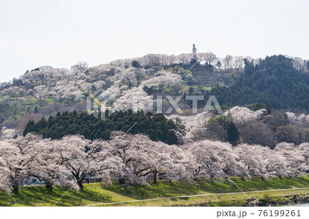 白石川堤一目千本桜と船岡平和観音像　宮城県柴田町 76199261