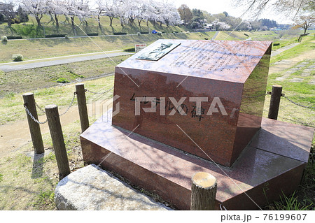 春の利根運河　運河水辺公園　千葉県流山市　　　　 76199607