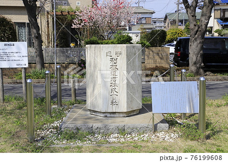 春の利根運河　運河水辺公園　千葉県流山市　　　　 76199608