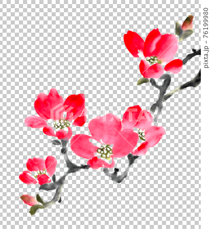 花樹 花樹 76199980