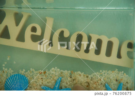 8月サマー夏のイメージ 76200875