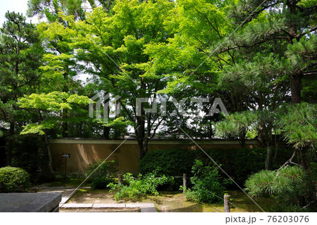 新緑の酬恩庵 新緑の酬恩庵 76203076