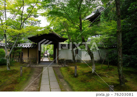 新緑の酬恩庵 76203081