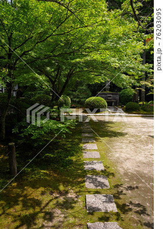新緑の酬恩庵 新緑の酬恩庵 76203095