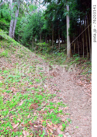 宇陀松山城【続日本100名城】 76203541