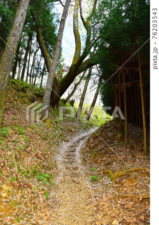 宇陀松山城【続日本100名城】 76203543