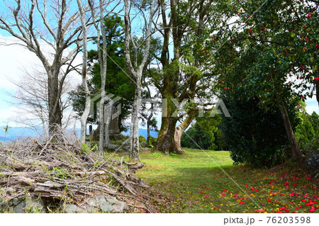 宇陀松山城【続日本100名城】 76203598