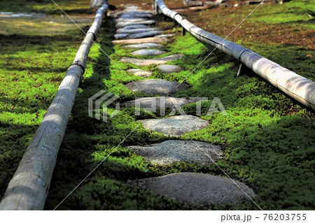 石庭:高野山真言宗・三輪山真長寺・11（岐阜県岐阜市三輪） 76203755