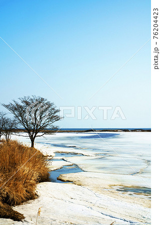 雪どけ待つ春別川と根室湾の風景 北海道 雪どけ待つ春別川と根室湾の風景 北海道 76204423