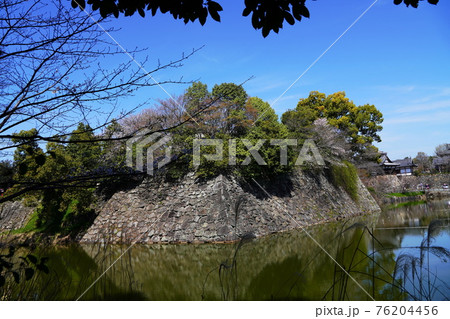 奈良　大和郡山市　郡山城　内堀の石垣と追手門（春） 76204456