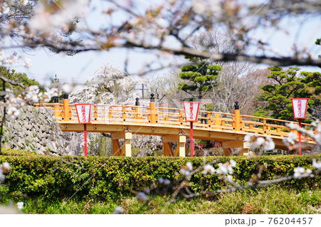 奈良 大和郡山市 郡山城 竹林橋跡付近から望む極楽橋(春) 奈良 大和郡山市 郡山城 竹林橋跡付近から望む極楽橋(春) 76204457