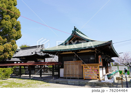 奈良　大和郡山市　郡山城　柳澤神社（春） 76204464