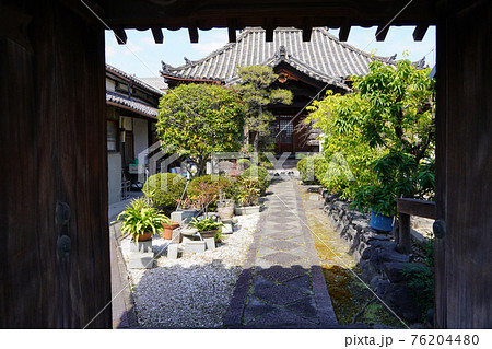 奈良 大和郡山市 春岳院(秀長の菩提寺) (城下町、春) 奈良 大和郡山市 春岳院(秀長の菩提寺) (城下町、春) 76204480