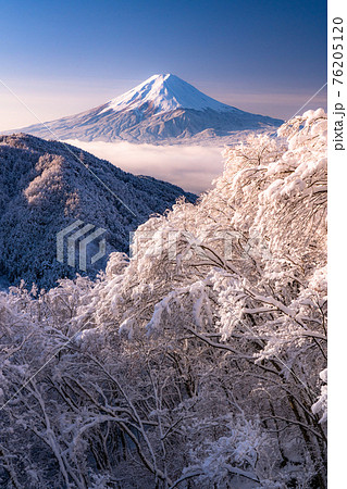 《山梨県》富士山と樹氷・日本の冬景色 《山梨県》富士山と樹氷・日本の冬景色 76205120