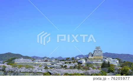 桜満開の姫路城 桜満開の姫路城 76205977