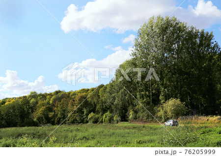森の見える草原を走る乗用車 76205999