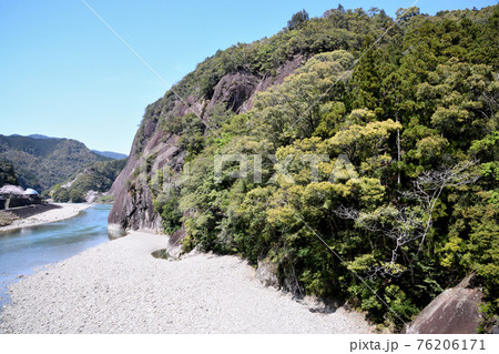 古座川の一枚岩と桜 76206171