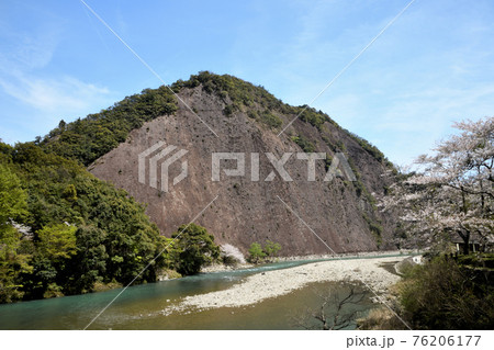 古座川の一枚岩と桜 古座川の一枚岩と桜 76206177