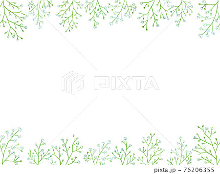 カスミソウの上下フレーム 水彩イラスト カスミソウの上下フレーム 水彩イラスト 76206355