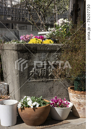 防火用水桶の花壇に春が来た 76207730
