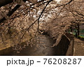 桜17 76208287