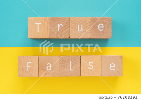 真偽｜「True」「False」と書かれた積み木ブロック 76208393