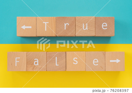 真偽｜「True」「False」と書かれた積み木ブロック 76208397