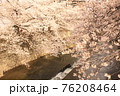 桜34 76208464