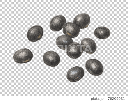 Black beans hand-painted watercolor pencil drawing 76209081