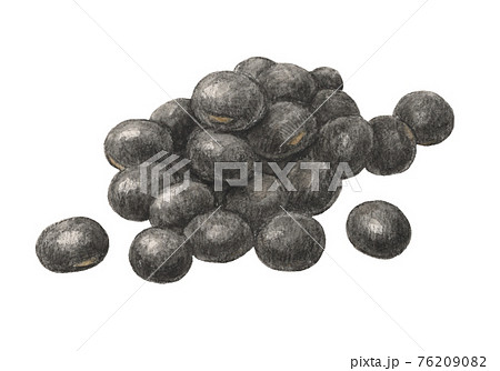 黒豆 手描き 水彩色えんぴつ画 黒豆 手描き 水彩色えんぴつ画 76209082