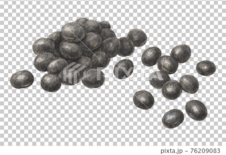 Black beans hand-painted watercolor pencil drawing Black beans hand-painted watercolor pencil drawing 76209083