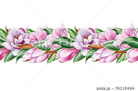 Magnolia flower seamless border. Tender pink magnolia blossom decor. Floral endless decorative ornament. Watercolor illustration. Realistic elegant seamless border. Botanical realistic element Magnolia flower seamless border. Tender pink magnolia blossom decor. Floral endless decorative ornament. Watercolor illustration. Realistic elegant seamless border. Botanical realistic element 76210484