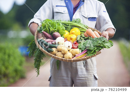 野菜農家 76210499