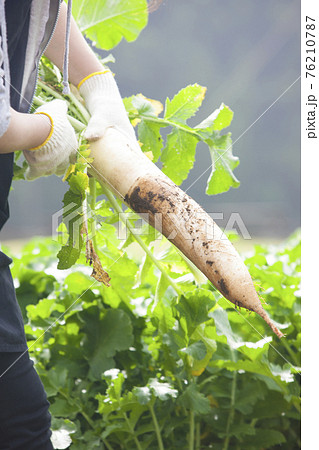 農家イメージ 76210787