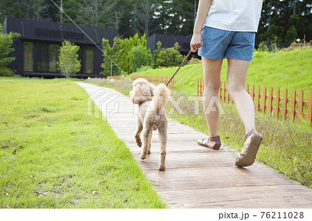 犬と散歩する女性 犬と散歩する女性 76211028
