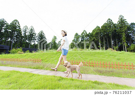 犬と散歩する女性 76211037
