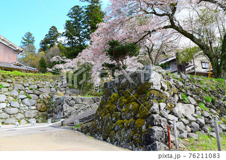 宇陀松山城【続日本100名城】 宇陀松山城【続日本100名城】 76211083