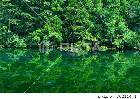 新潟県の龍ヶ窪の池 76211441