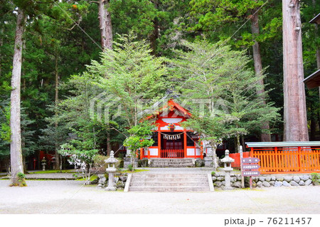 多気北畠氏城館【続日本100名城】 多気北畠氏城館【続日本100名城】 76211457