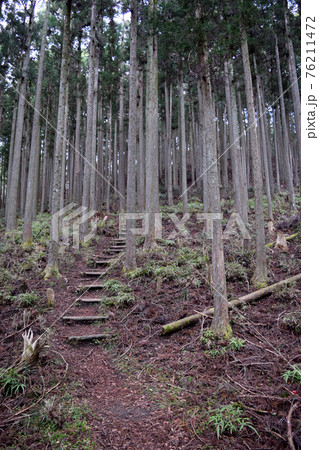 多気北畠氏城館【続日本100名城】 76211472