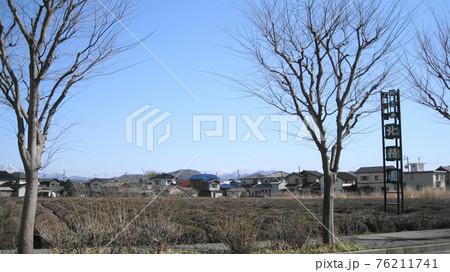 北限のお茶畑 北限のお茶畑 76211741