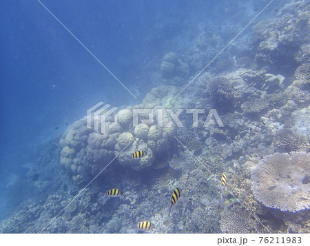 モルディブ　シュノーケル 76211983