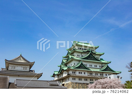 名古屋城、金鯱のない天守閣と満開の桜〈愛知県名古屋市〉 名古屋城、金鯱のない天守閣と満開の桜〈愛知県名古屋市〉 76214062