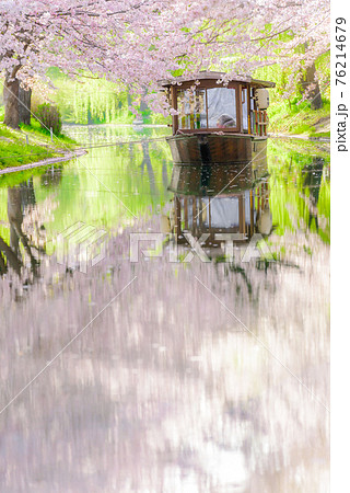 伏見 伏見 76214679