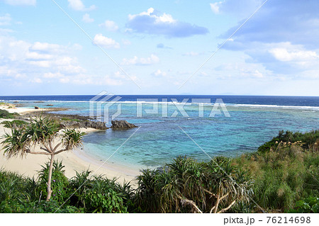 徳之島の美しい海とアダンの木 76214698