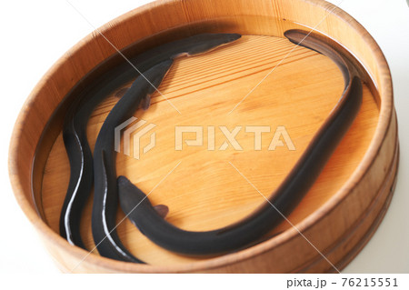 活うなぎ 活うなぎ 76215551