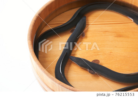 活うなぎ 76215553