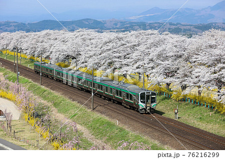 東北本線 桜並木と電車 東北本線 桜並木と電車 76216299